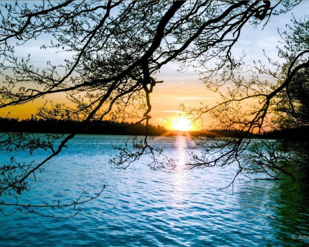 Close To The Metro And The Beach!!! With A View Of The Scandinavian Forest Стокгольм Экстерьер фото