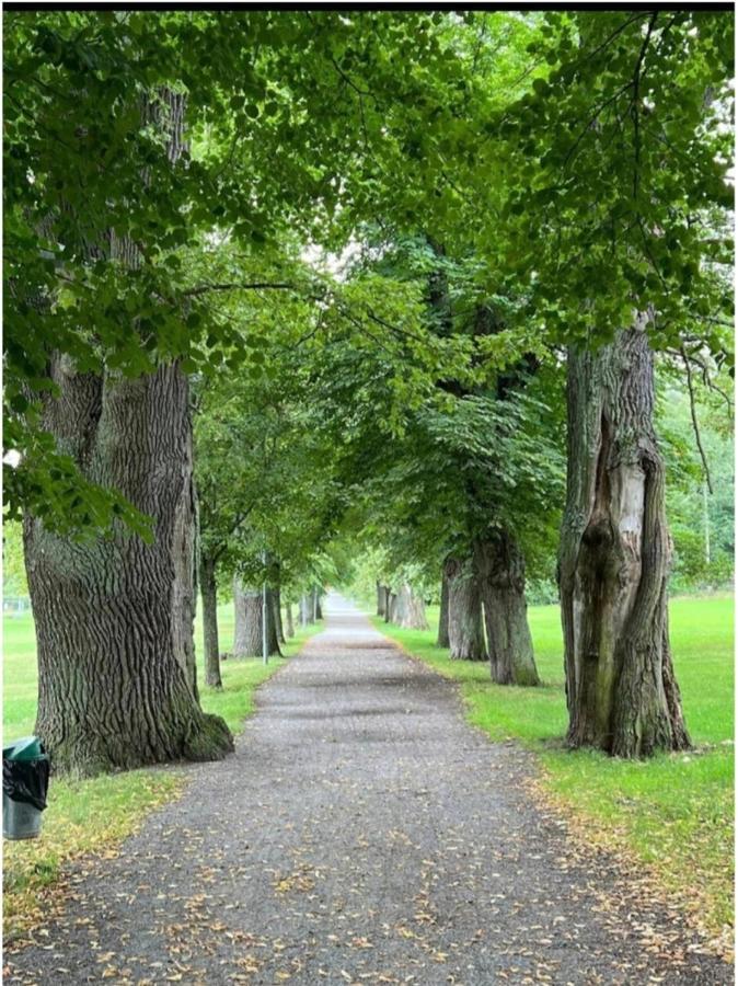 Close To The Metro And The Beach!!! With A View Of The Scandinavian Forest Стокгольм Экстерьер фото